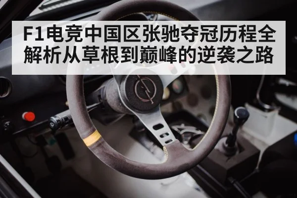 racing car cockpit setup