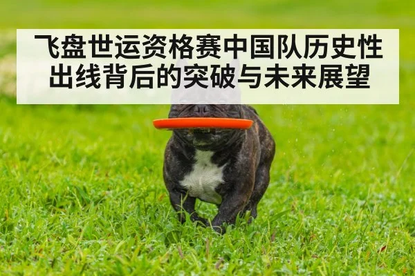 飞盘世运资格赛中国队历史性出线背后的突破与未来展望