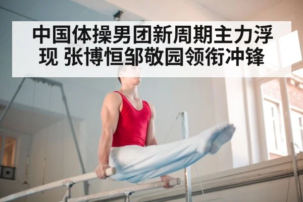 中国体操男团新周期主力浮现 张博恒邹敬园领衔冲锋