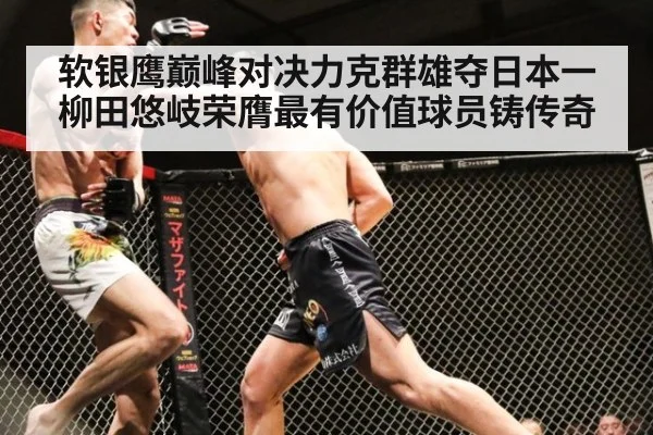 软银鹰巅峰对决力克群雄夺日本一柳田悠岐荣膺最有价值球员铸传奇